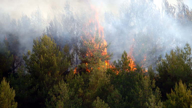 Θεσσαλονίκη: Υπό μερικό έλεγχο τέθηκε η πυρκαγιά στο Σοχό
